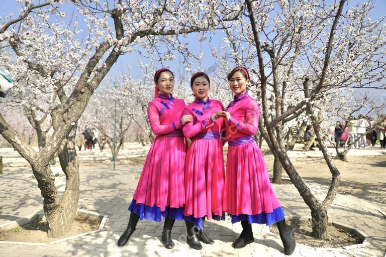 风光类：内蒙古土默特右旗第六届旅游文化节